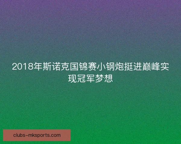 2018年斯诺克国锦赛小钢炮挺进巅峰实现冠军梦想