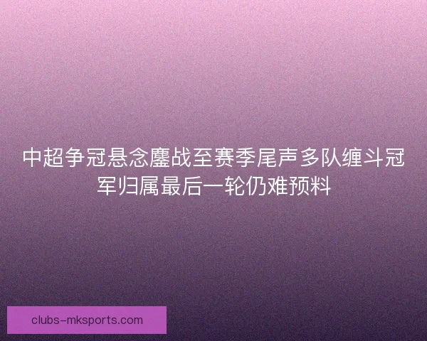 中超争冠悬念鏖战至赛季尾声多队缠斗冠军归属最后一轮仍难预料