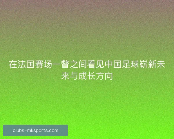 在法国赛场一瞥之间看见中国足球崭新未来与成长方向